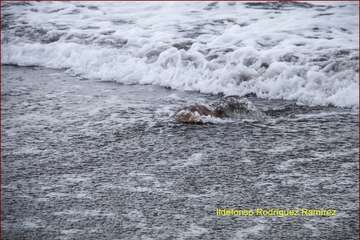 Ruta por la costa en memoria de José Luis González Ruano (Foto Ildefonso Rodríguez y TA)